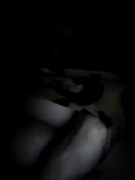 lamasrica20 webcam