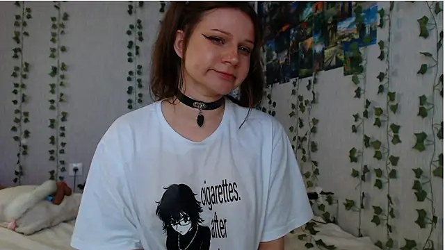 lilidip webcam
