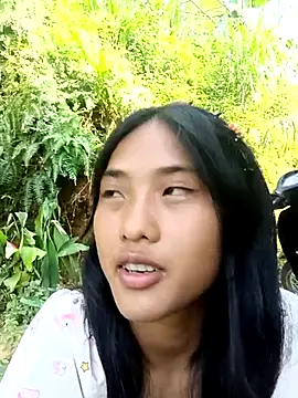 Hoa-tuylip webcam