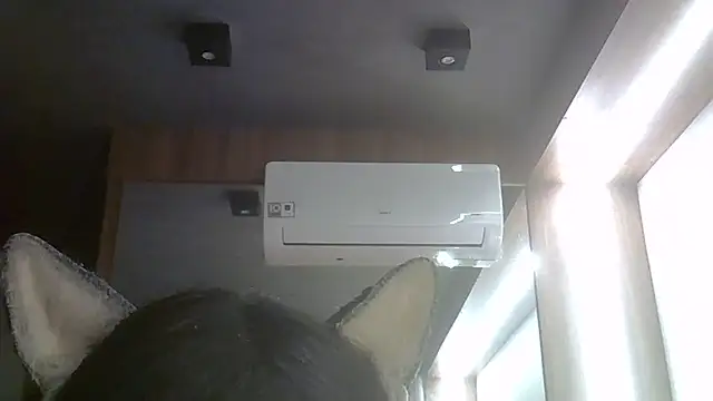 SkinnyKitten webcam