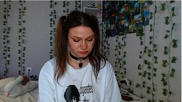 lilidip webcam
