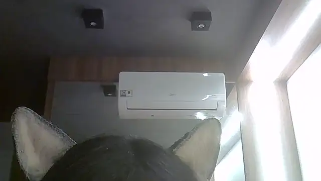 SkinnyKitten webcam