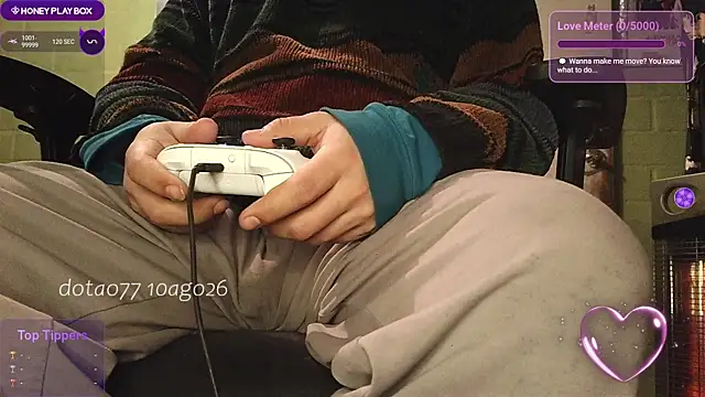 doTao7 webcam