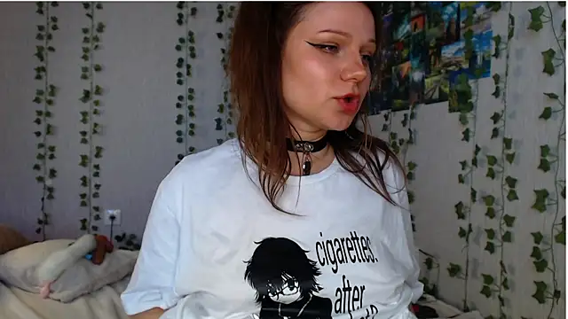 lilidip webcam