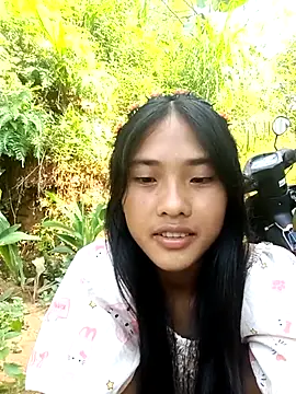 Hoa-tuylip