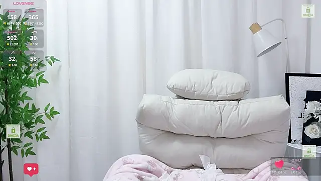 Yoyo_520 webcam