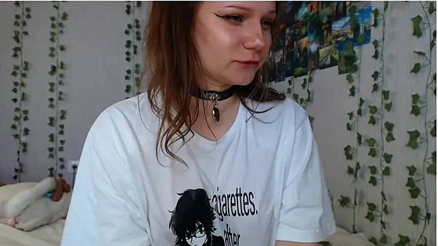 lilidip webcam