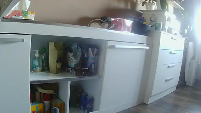 suedel65 webcam