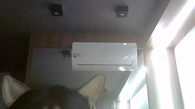 SkinnyKitten webcam