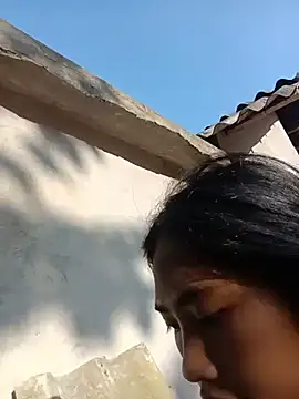 Hoa-tuylip