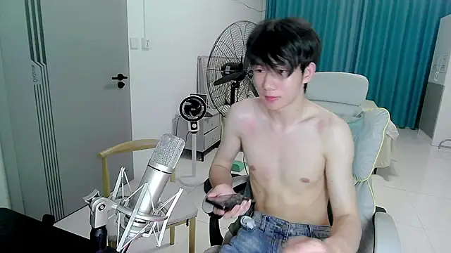 KPL-11 webcam
