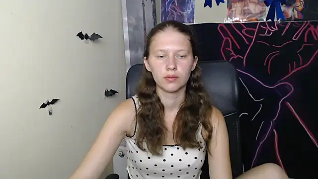 StellaCRL webcam