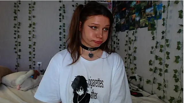 lilidip webcam