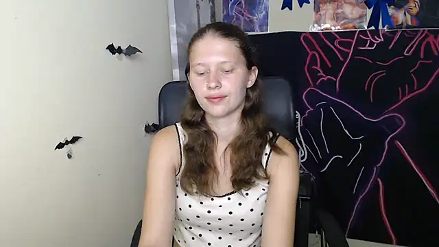 StellaCRL webcam