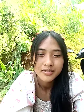 Hoa-tuylip webcam