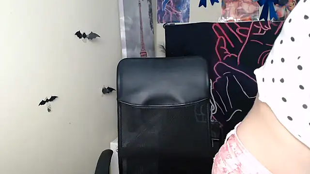 StellaCRL webcam