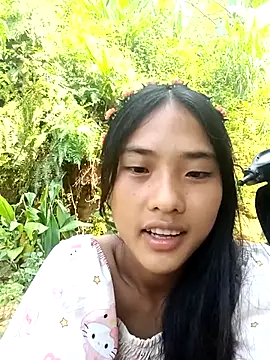 Hoa-tuylip webcam
