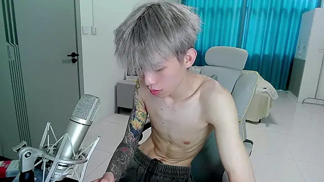 KPL-11 webcam