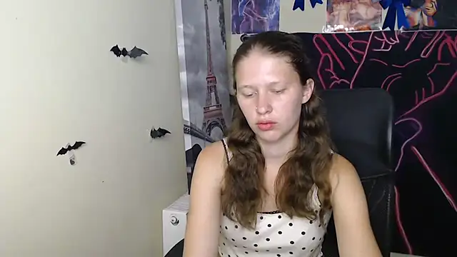 StellaCRL webcam