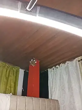 LuzDream webcam