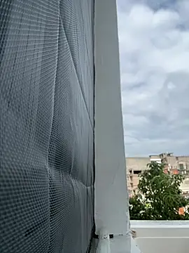 daaqnn live cam
