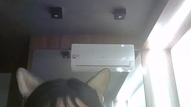 SkinnyKitten webcam
