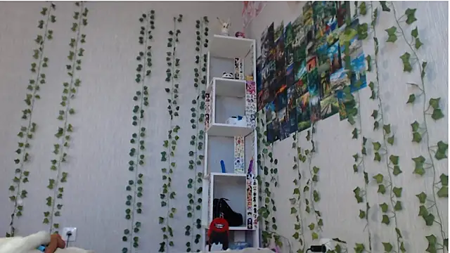 lilidip webcam