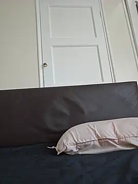 Primalking webcam