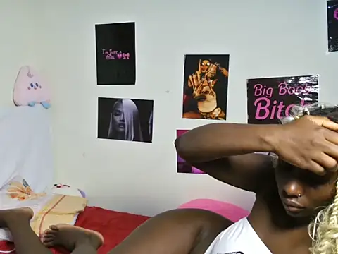 Aria_ah webcam
