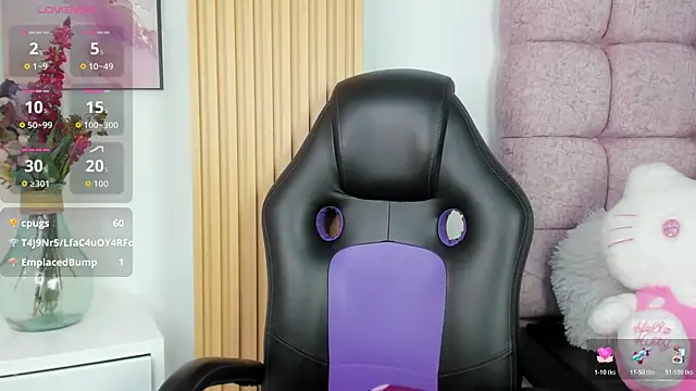 1Sloppy_Fox4 webcam
