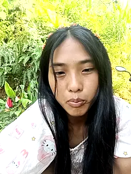 Hoa-tuylip
