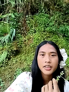 Hoa-tuylip