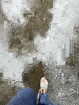 Bombay_boy webcam