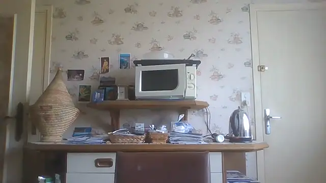 gegevincent5 webcam