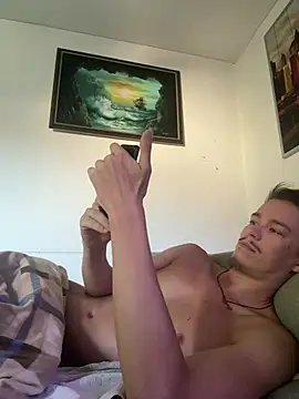 Toyjungee webcam