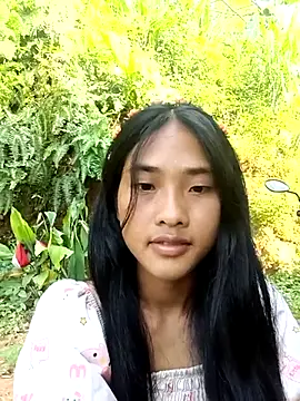 Hoa-tuylip webcam