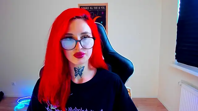 your_tora webcam