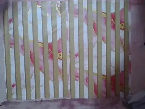 SweetPussie18x webcam