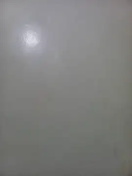 SashaFreshy webcam