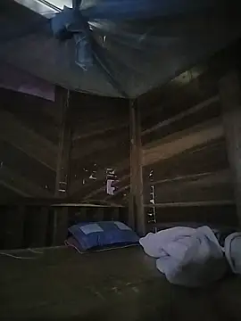 Marui-009 webcam