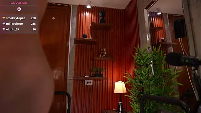 David_capizzi_ webcam