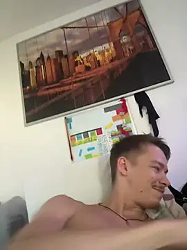 Toyjungee webcam
