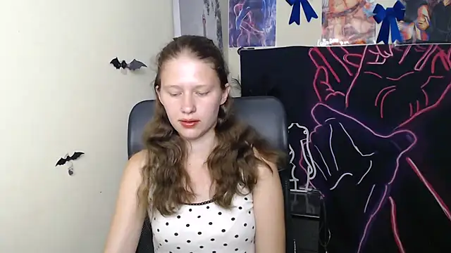 StellaCRL webcam