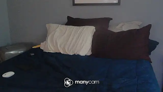 NWBuilt webcam