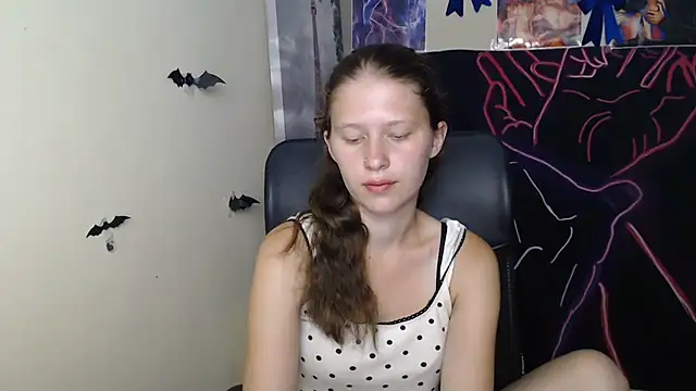 StellaCRL webcam