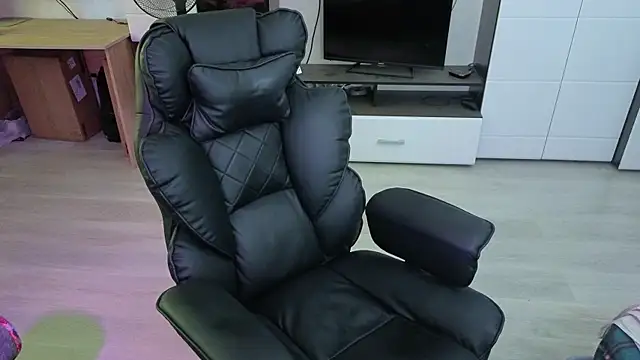 pvlpstvy webcam
