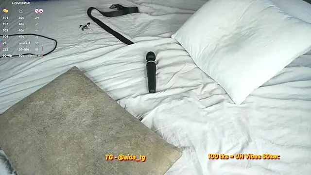 aidaha webcam