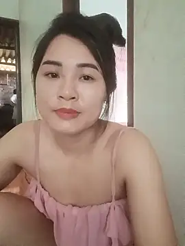 PIVI-12 webcam