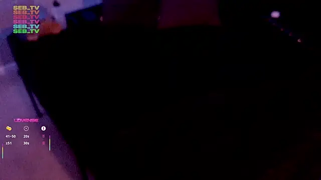 seb_tv webcam