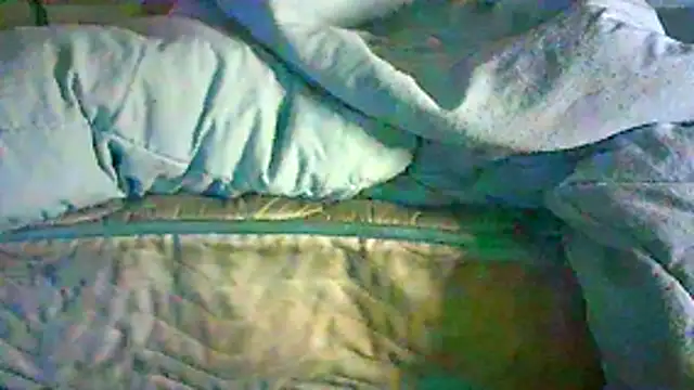 CR3M3_FIR3 webcam